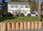 Leaf Yard Waste Recycling Large Kraft Self Standing Waxed Paper Bag