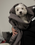 Authentic Canadian Civil Defense Wool Blanket