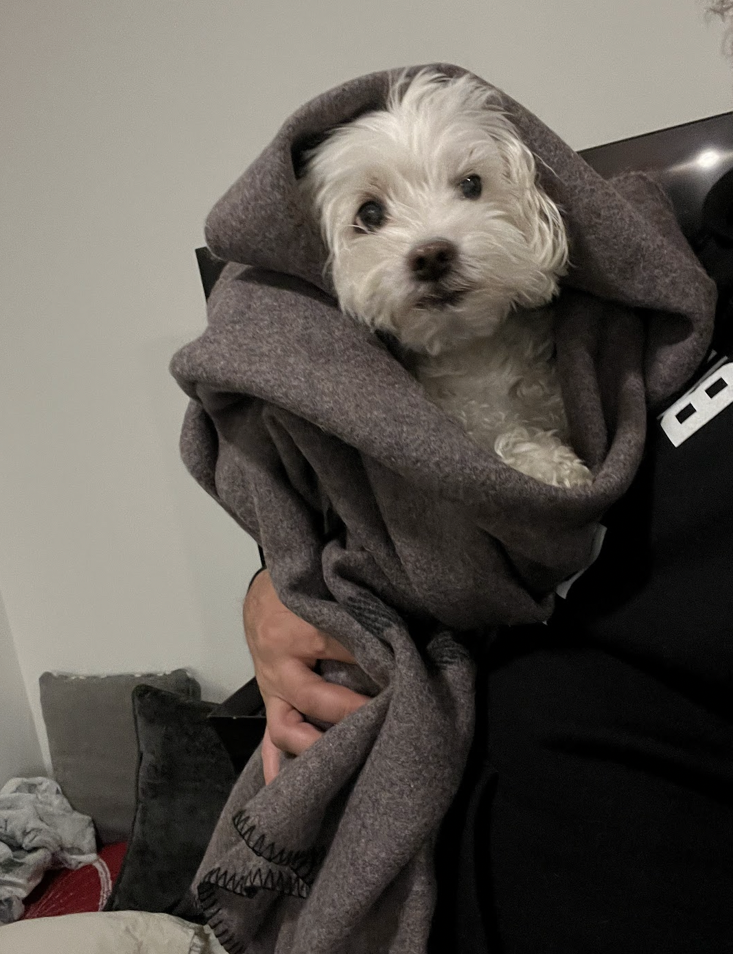 Authentic Canadian Civil Defense Wool Blanket