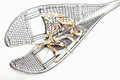 Snowshoe Magnesium w/Harness